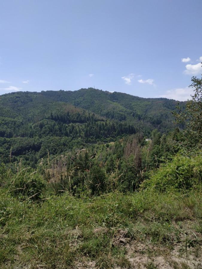 "Вила Баните" Esterno foto